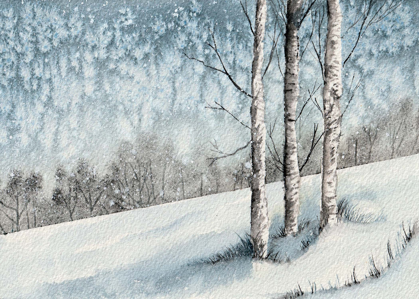 Snowy Birch 5x7
