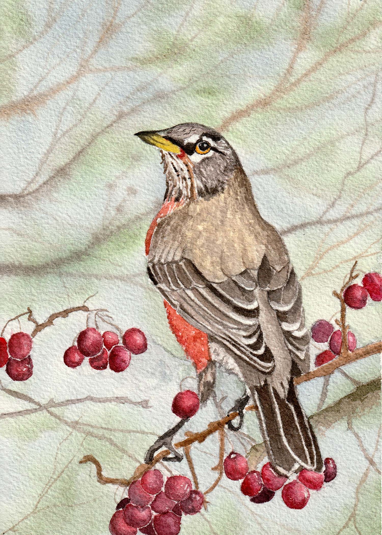 Winter Robin 5x7