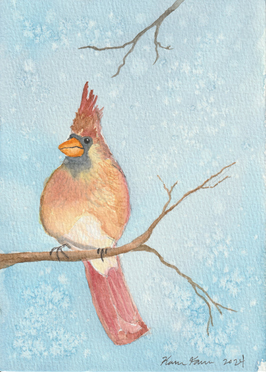 Lady Cardinal 5x7