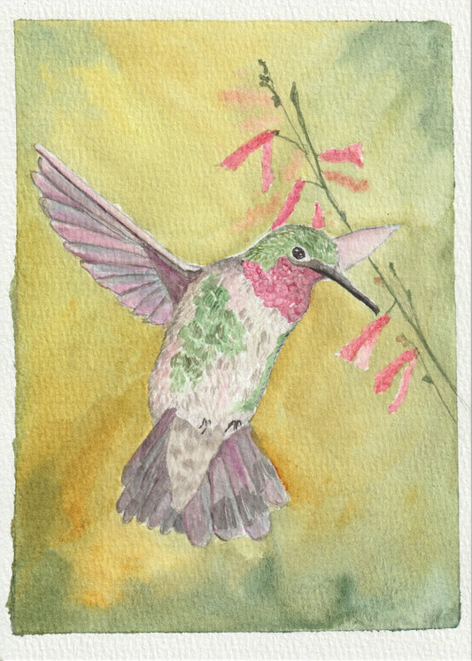 Original Watercolor Hummingbird 5x7