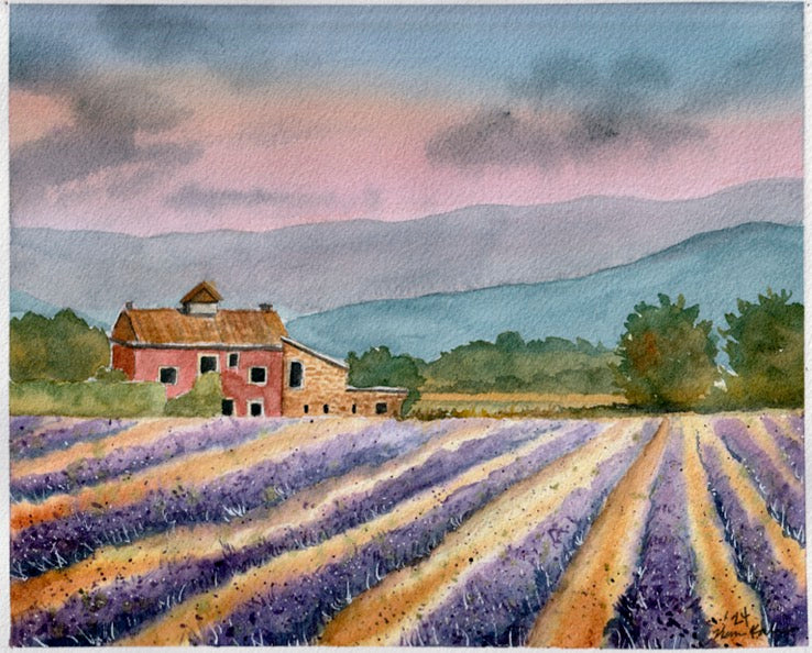 Lavender Field 8x10